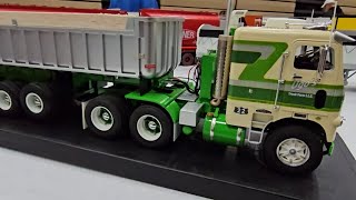 All the Big Rigs at the Detroit Area Auto Modelers 2024 show [upl. by Timms]