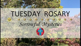 Tuesday Rosary • Sorrowful Mysteries of the Rosary 💜 October 29 2024 VIRTUAL ROSARY  MEDITATION [upl. by Renell857]