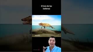 Ballena con patas 🤯😱 evolución fosil trex jurassic megalodon jurassicworld [upl. by Aiksa]