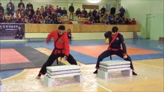 Tameshivari aykikendo karate armenia 2015 [upl. by Trygve]