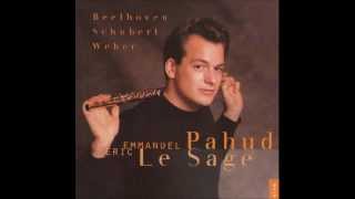 Schubert  Introduction et Varation Pahud Flute  Lesage Piano [upl. by Rockie]