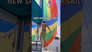 WE TRY A NEW RAINBOW SAIL shorts dog explore foryou [upl. by Grishilde]