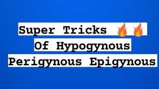 Hypogynous Perigynous Epigynous Tricks  NEET Biology Tricks amp Mnemonics [upl. by Aihsenad]