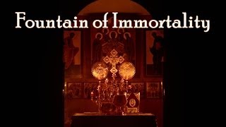 FOUNTAIN OF IMMORTALITY  Meditation on the Orthodox Divine Liturgy [upl. by Carlson386]