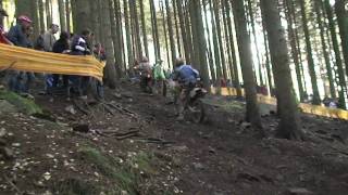 Enduro DEM 2009 quotRund um Zschopauquot Part 2 [upl. by Garwood]