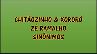 Chitãozinho amp Xororó Zé Ramalho  Sinônimos Lyrics  Letra en Portugués  Traducida al Español [upl. by Nettle384]