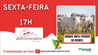 185° LEILÃO DE GADO DE CORTE AO VIVO  LEILAO DO PECUARISTA  SEXTA 11102024 A partir das 1730h [upl. by Weed]