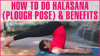 How To Do HALASANA PLOW POSE amp Its Benefits [upl. by Verneuil]