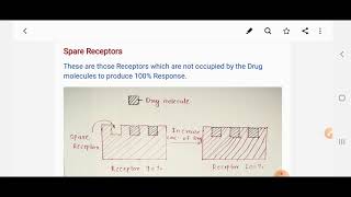 Spare Receptors  Pharmacology [upl. by Harriot]