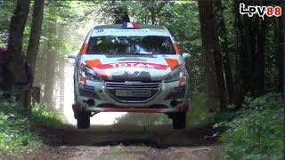 Rallye Terre de Langres 2015 HD  LPV88 [upl. by Metsky]