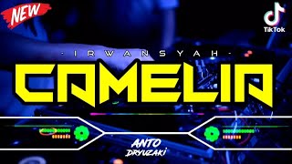 DJ CAMELIA  IRWANSYAH‼️ VIRAL TIKTOK  FUNKOT VERSION [upl. by Erodavlas]