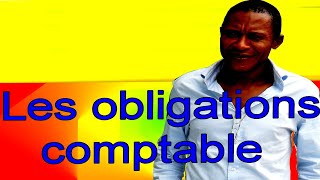 les obligations comptables [upl. by Sullivan793]