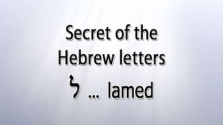 Secret of the Hebrew letter Lamed [upl. by Youlton]