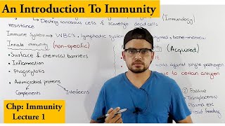 Innate vs adaptive immunity overview [upl. by Aitetel]