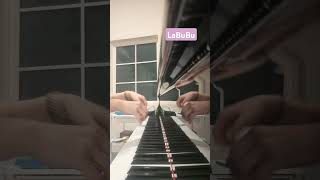 Labubu Song  Piano Cover [upl. by Letney]