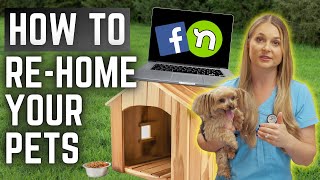 5 Tips to find your Dog a NEW HOME  amp No Shelter needed MUST WATCH [upl. by Maitilde]