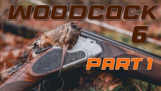 Northwoods Woodcock Hunting 6  Part 1 [upl. by Cleres]