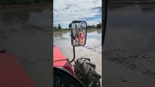 rice field plow tractor [upl. by Ayim]