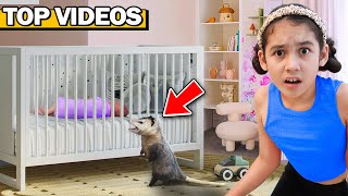 A Wild Opossum Broke Into Our Babys Room [upl. by Ahsaeym]