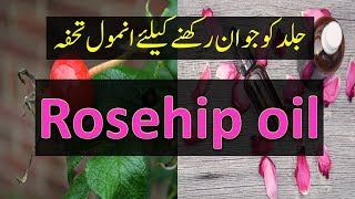 Benefits of Rosehip Oil UrduHindi [upl. by Suiraj]