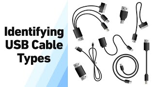 USB Cable Types How to Identify and Use Different USB Connectors [upl. by Lem275]