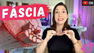 FÁSCIA MUSCULAR e COMPARTIMENTOS FASCIAIS [upl. by Ecnar]