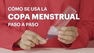 Cómo se usa la Copa Menstrual  Paso a Paso [upl. by Syck]