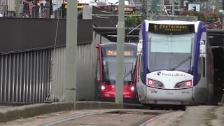 Trams in Den Haag The Hague  Netherlands September 2018 [upl. by Deckert]