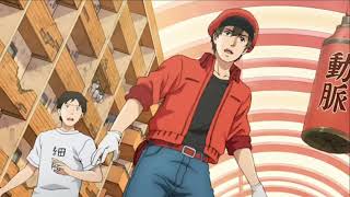 Cells At Work Episode 1 Part 2 English Dub HD Full Screen [upl. by Elene]