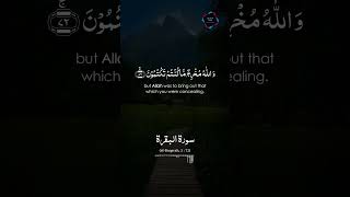 Surah Al Baqarah سورة البقره  RELAXING RECITATION shorts quran viral [upl. by Corny852]