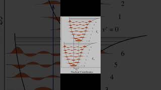 Frank Condon principle photochemistry MSc 3rd sem  sk academy [upl. by Otrevlig]