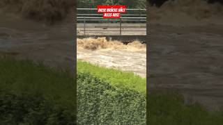 Diese Brücke hält alles aus Massives Hochwasser am 1509 in Wien flood viralvideo hochwasser [upl. by Cirri]