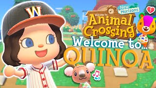 My Ninth Month In Animal Crossing New Horizons [upl. by Idette]