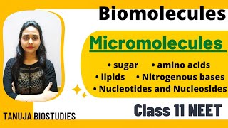 Biomolecules  Micromolecules  Sugars  Amino acidNitrogenous base Lipids Class 11 BiologyNEET [upl. by Eltsyrc419]