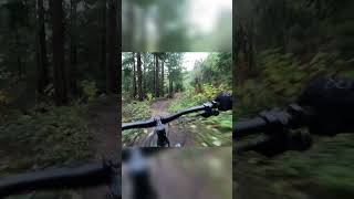 Tabletops on Poppin Tops mtb downhill [upl. by Nitaf]