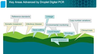 Counting with Droplet Digital™ PCR – More Applications than Anyone Ever Dreamed Of [upl. by Neila482]