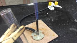 Cation Test Ammonium Ions [upl. by Eniamret]