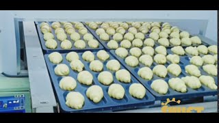 Commercial Machine Line for Croissant Danish Bread Pastry [upl. by Willdon]