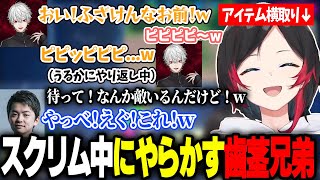 スクリム最終日に歯茎兄弟でチョケてチーム壊滅し、流石に苦笑いするうるか達【葛葉SasatikkCRCUPヒロアカクズハウルササ】 [upl. by Yggep]