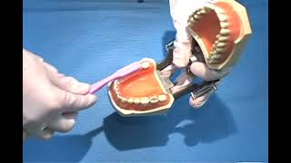 Video 4 3sided toothbrushes [upl. by Steinke]