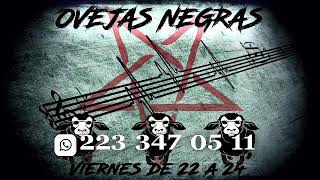 Ovejas Negras Programa 232 [upl. by Idok]