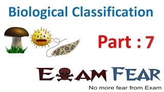 Biology Biological Classification part 7 Heterotrophic Eubacteria pathogens CBSE class 11 XI [upl. by Jeffie]