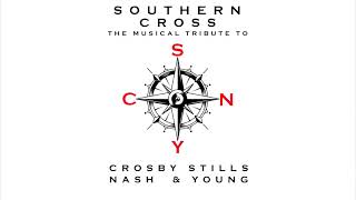 Straz Center  The Definitive Tribute to CSNY Featuring Southern Cross [upl. by Aibara]