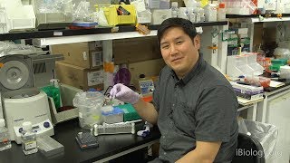 Next Generation Sequencing 3 Purifying DNA Samples with Magnetic Beads  Eric Chow UCSF [upl. by Kcira53]