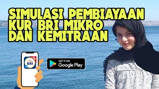 🔴 Simulasi Pembiayaan KUR BRI MIKRO DAN KEMITRAAN  eForm BRI [upl. by Nomaid20]