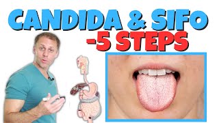 5 Steps to Improve Candida or SIFO Small Intestinal Fungal Overgrowth [upl. by Remmos]