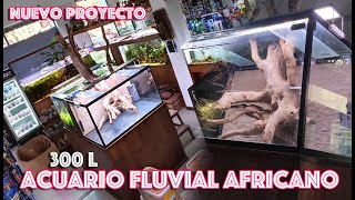 Nuevo proyecto acuario fluvial Africano [upl. by Ilegna]