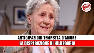 Tempesta d’Amore Anticipazioni puntate tedesche la disperazione di Hildegard [upl. by Yecaw]