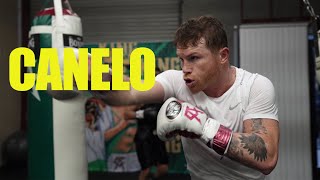 Canelo Alvarez Training Up Close amp Personal [upl. by Noraj]