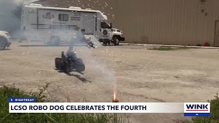 LCSO robo dog lights up firework [upl. by Ecnadnak]